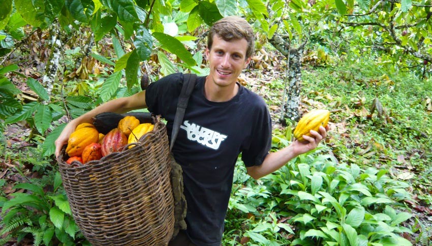 Willkommen bei CauCawa - Ehrlicher Kakao aus Südamerika - CauCawa - Ehrlicher Kakao