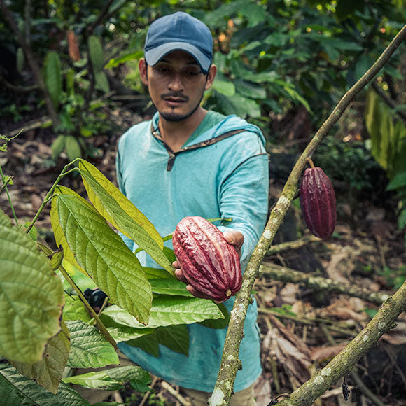 Bio Schokolade 74% • Haselnuss • 70g