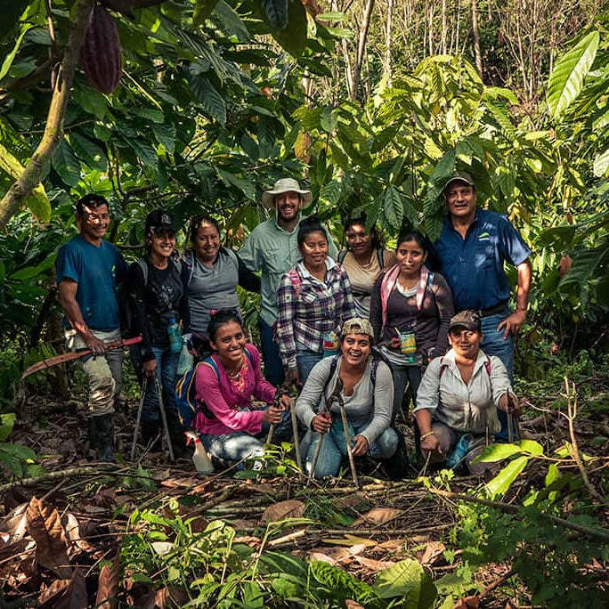 Bio Schokolade 74% • Haselnuss • 70g