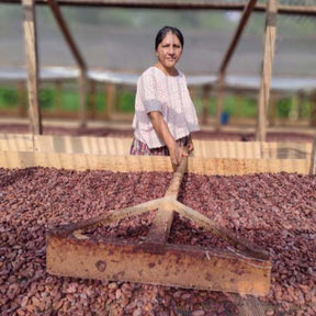 Bio Schokolade 75 % Lachua • mit Kakaonibs • Guatemala • 70g