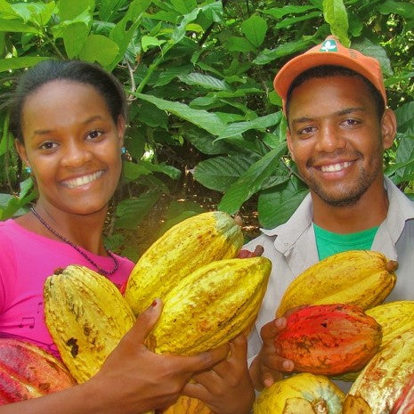 Kakaobauern und -bäuerinnen bei der Kakaoernte auf der Dominikanischen Republik mit Kakaofrüchten in der Hand