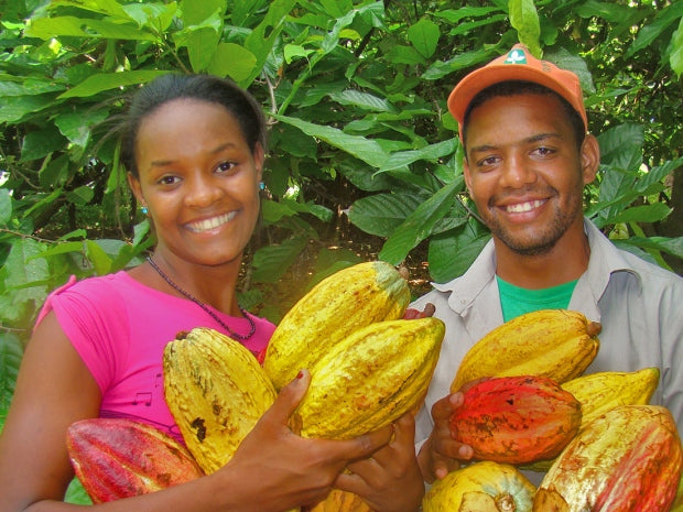 Zwei Kakaobauern*innen bei der Kakaoernte in der Dominikansichen Republik, Kooperative ÖKO Caribe