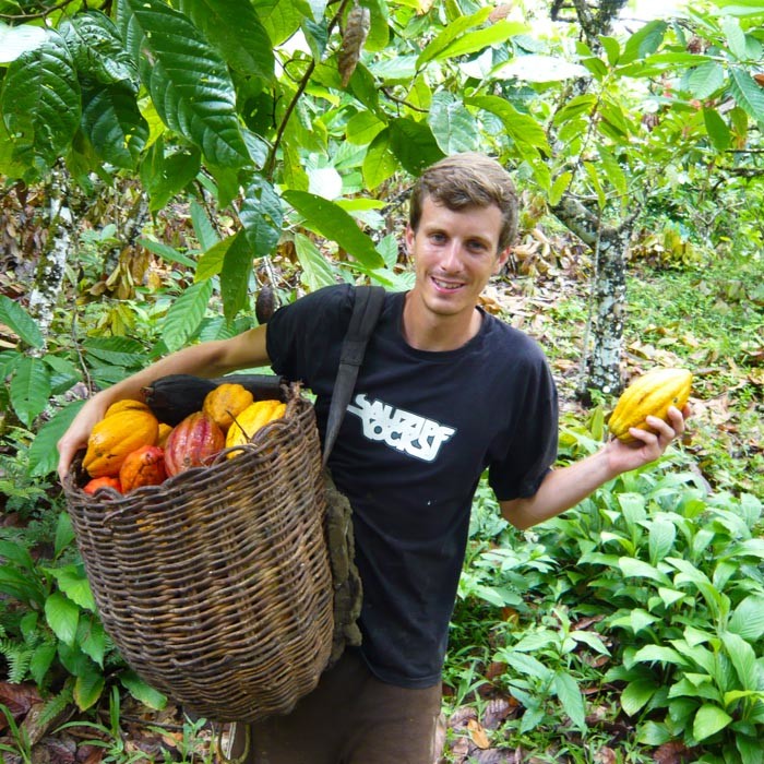 Richard Hofer von CauCawa im Dschungel bei der Kakaoernte